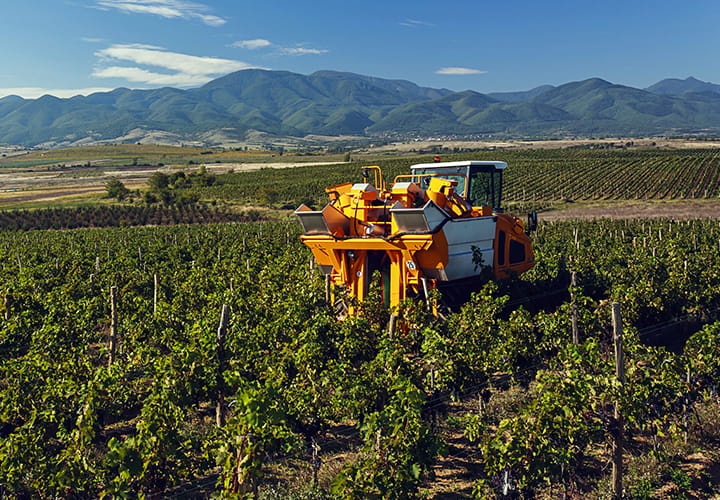 Trelleborg Grape Harvester tyres
