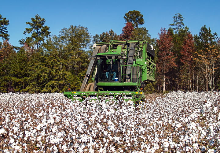 Trelleborg Cotton pickers tyres