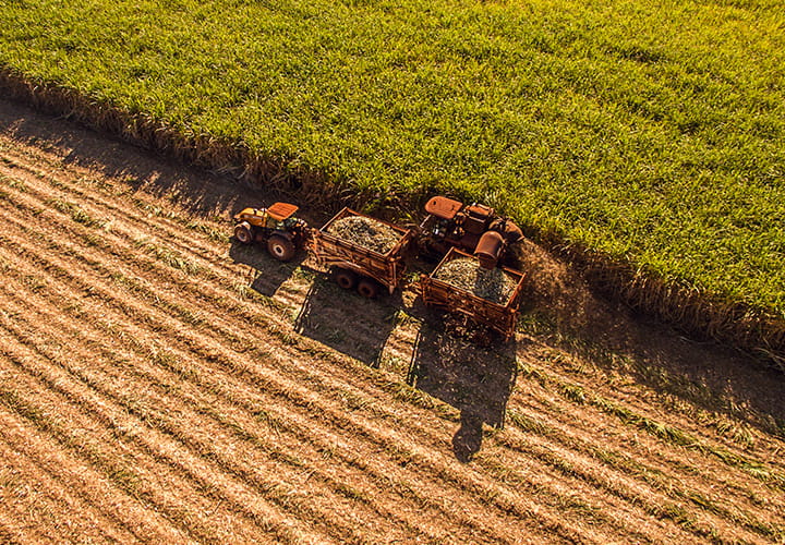 Trelleborg Sugar Cane Harvesters tyres